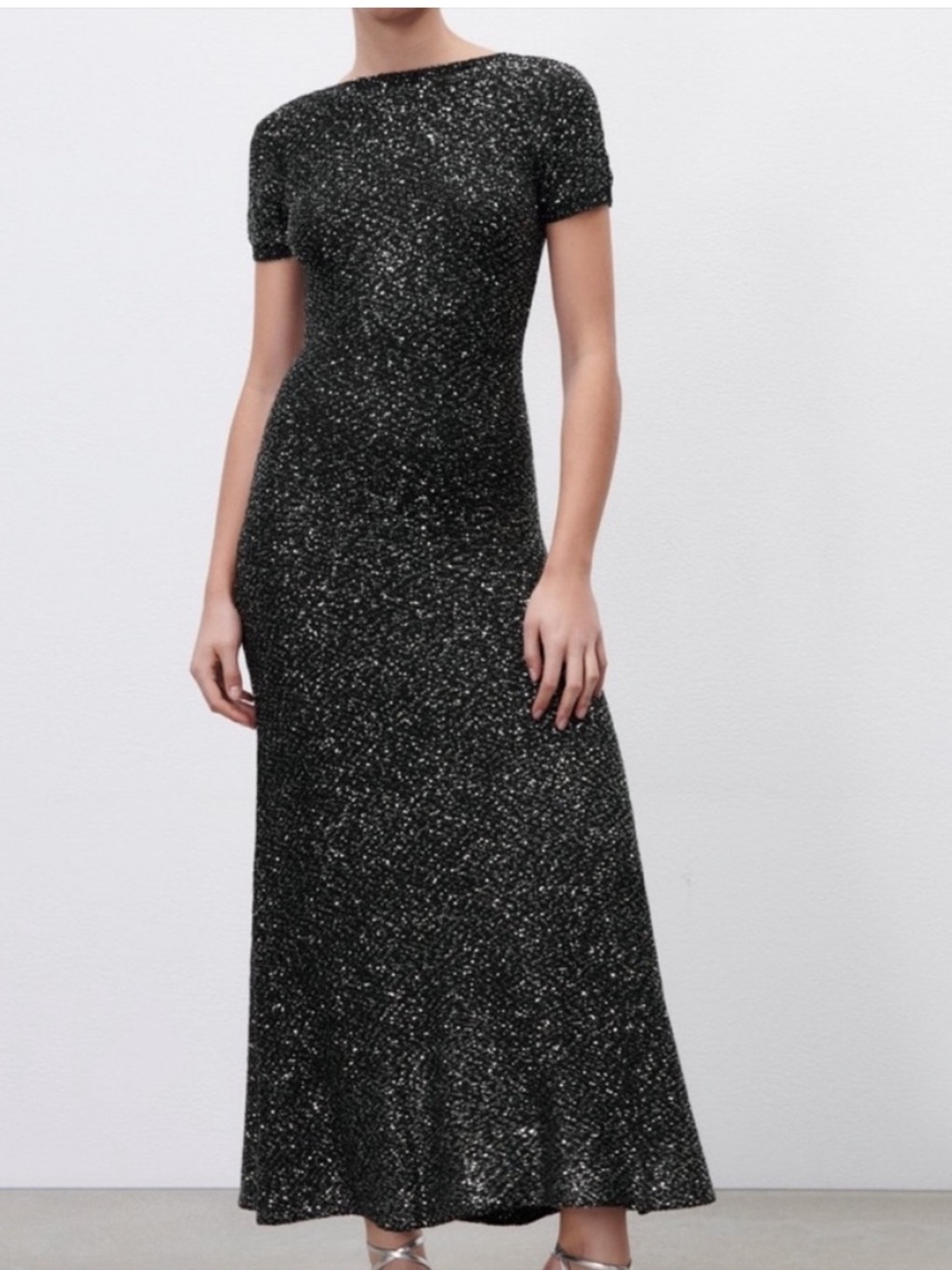 NWT Zara Scoop Back Floor Length Dress